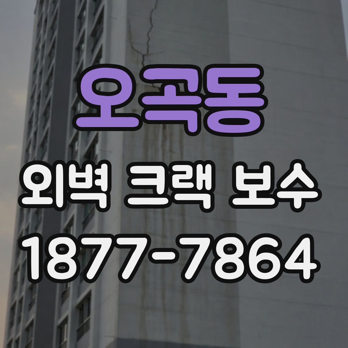 오곡동 외벽 크랙 보수