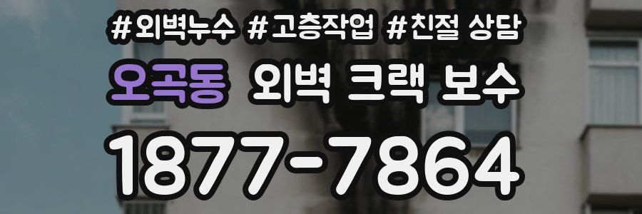 오곡동 외벽 크랙 보수