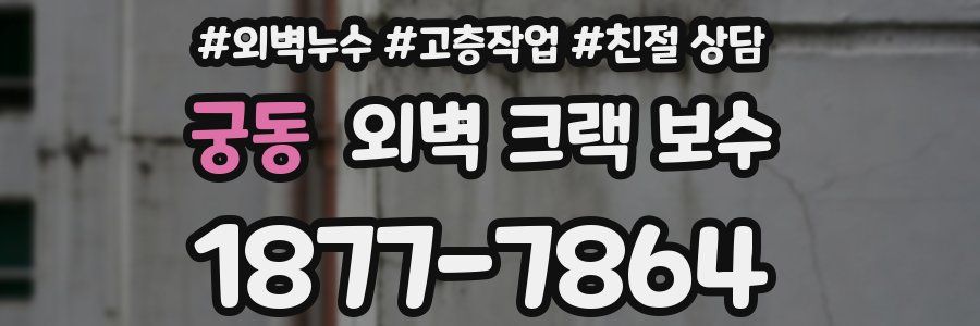 궁동 외벽 크랙 보수