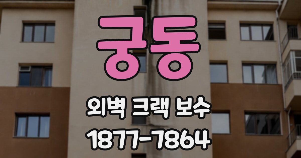 궁동 외벽 크랙 보수