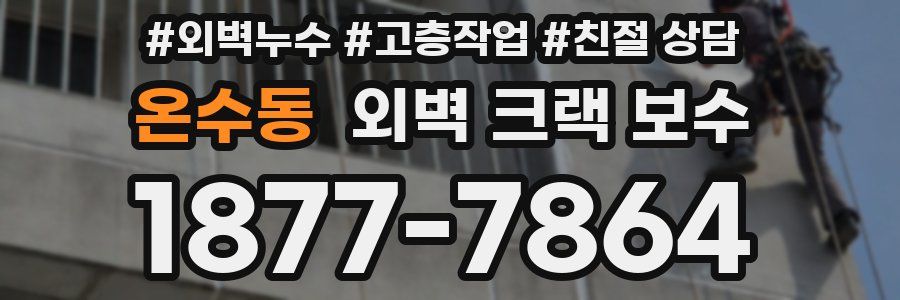 온수동 외벽 크랙 보수