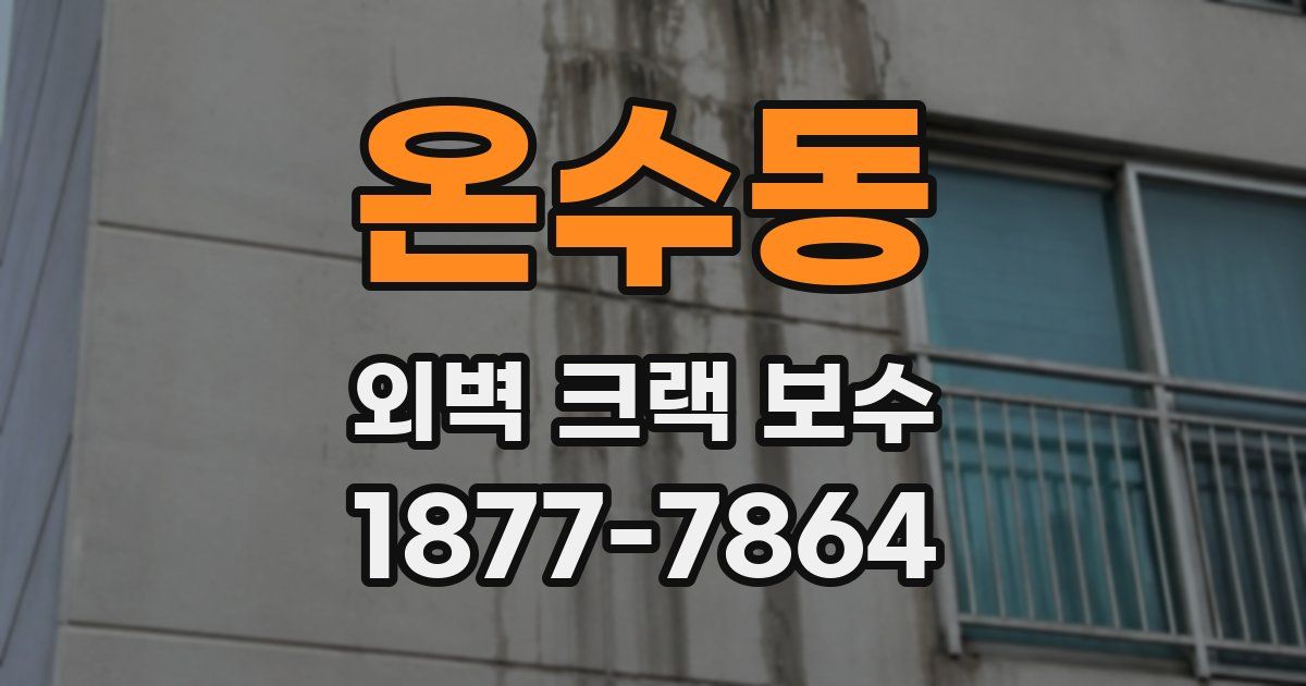 온수동 외벽 크랙 보수