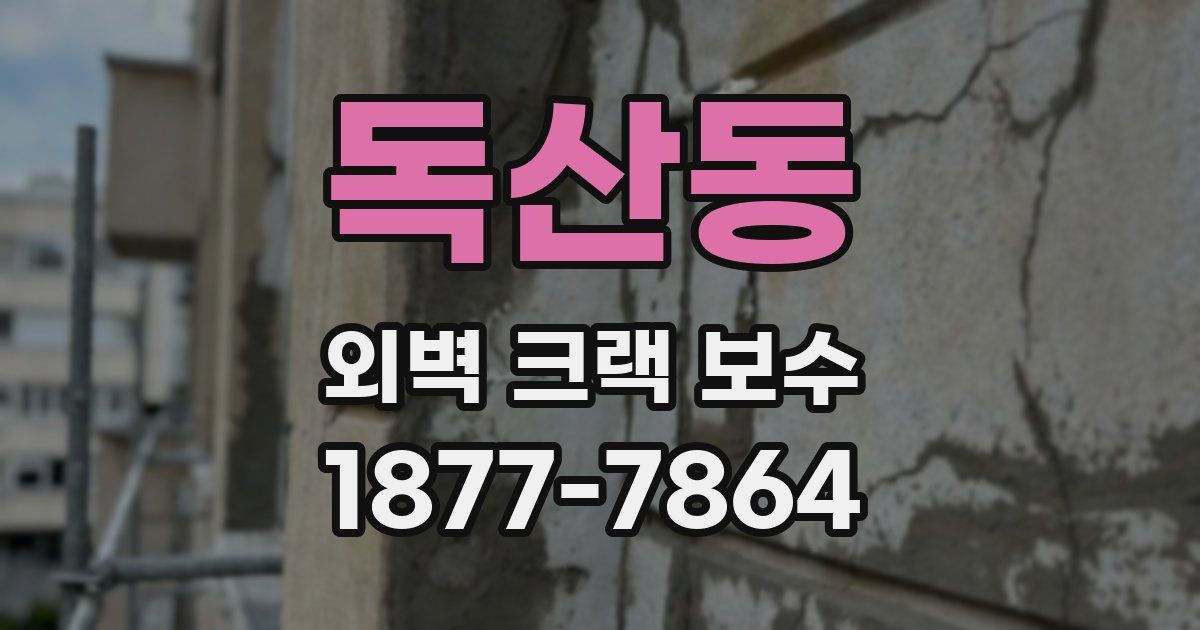 독산동 외벽 크랙 보수