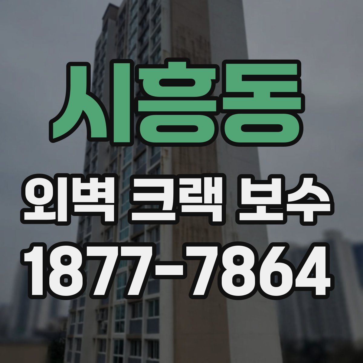 시흥동 외벽 크랙 보수