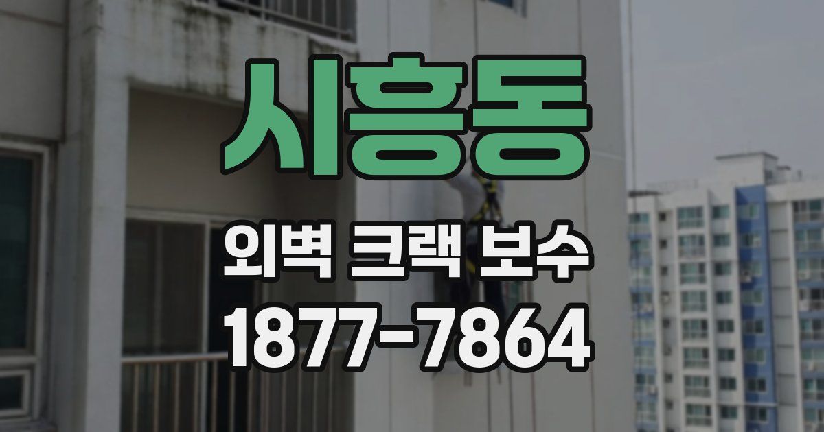 시흥동 외벽 크랙 보수