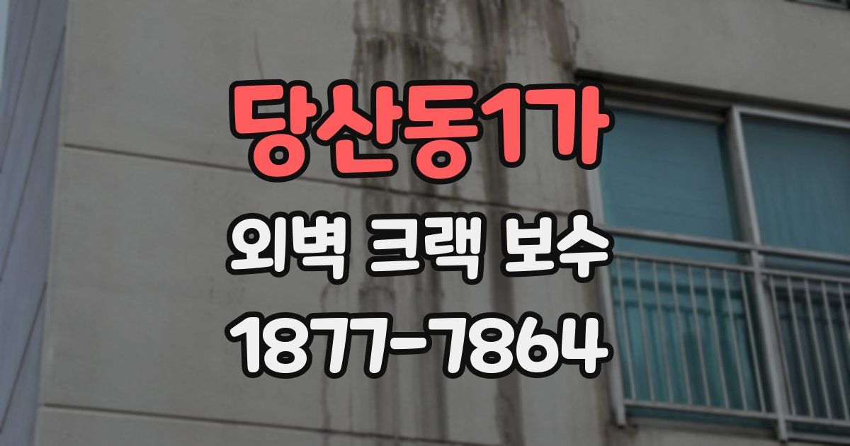 당산동1가 외벽 크랙 보수