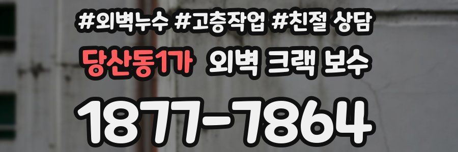 당산동1가 외벽 크랙 보수