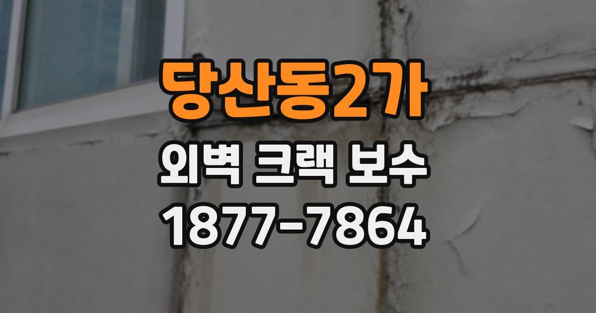 당산동2가 외벽 크랙 보수