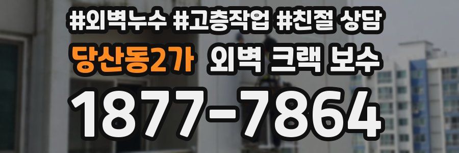 당산동2가 외벽 크랙 보수