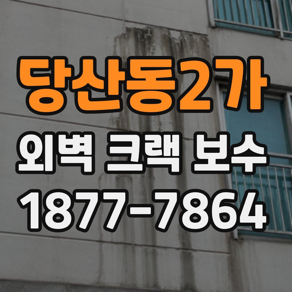 당산동2가 외벽 크랙 보수