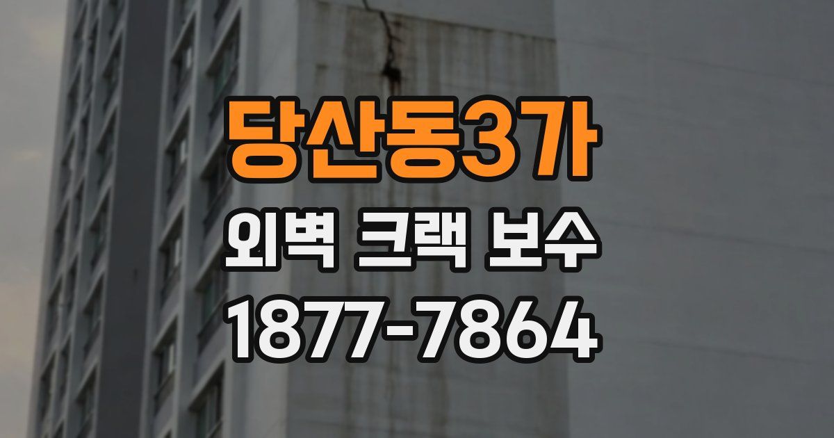 당산동3가 외벽 크랙 보수