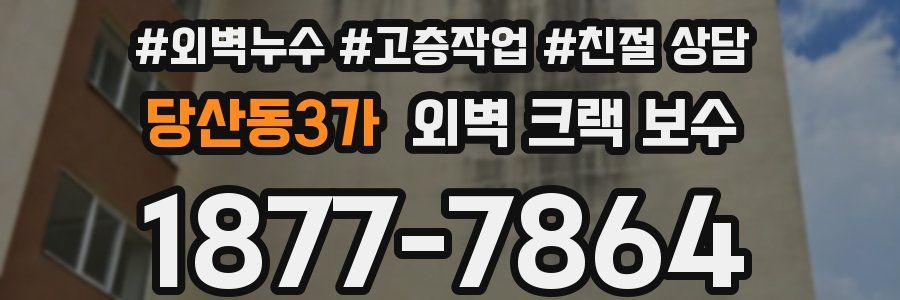 당산동3가 외벽 크랙 보수