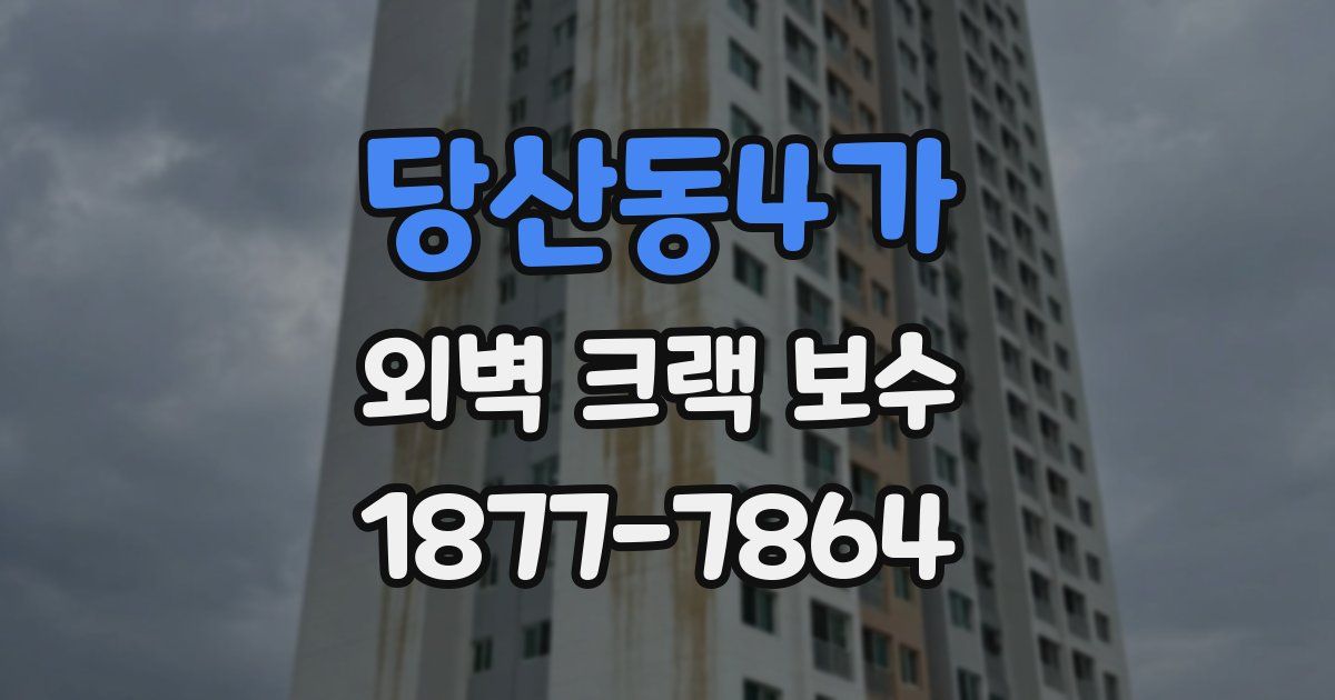당산동4가 외벽 크랙 보수