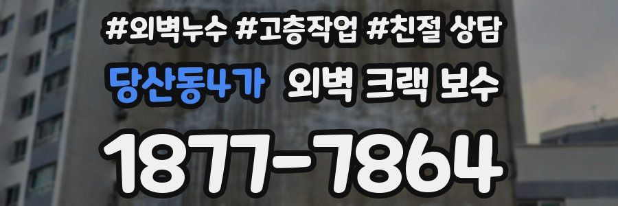 당산동4가 외벽 크랙 보수