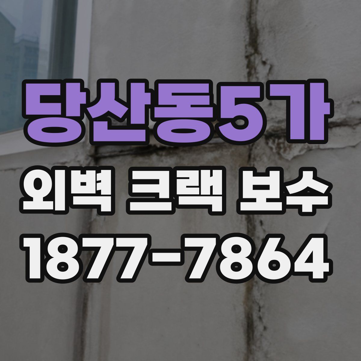 당산동5가 외벽 크랙 보수