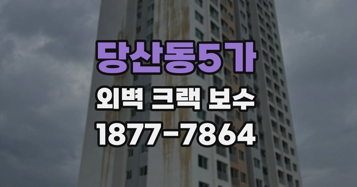 당산동5가 외벽 크랙 보수