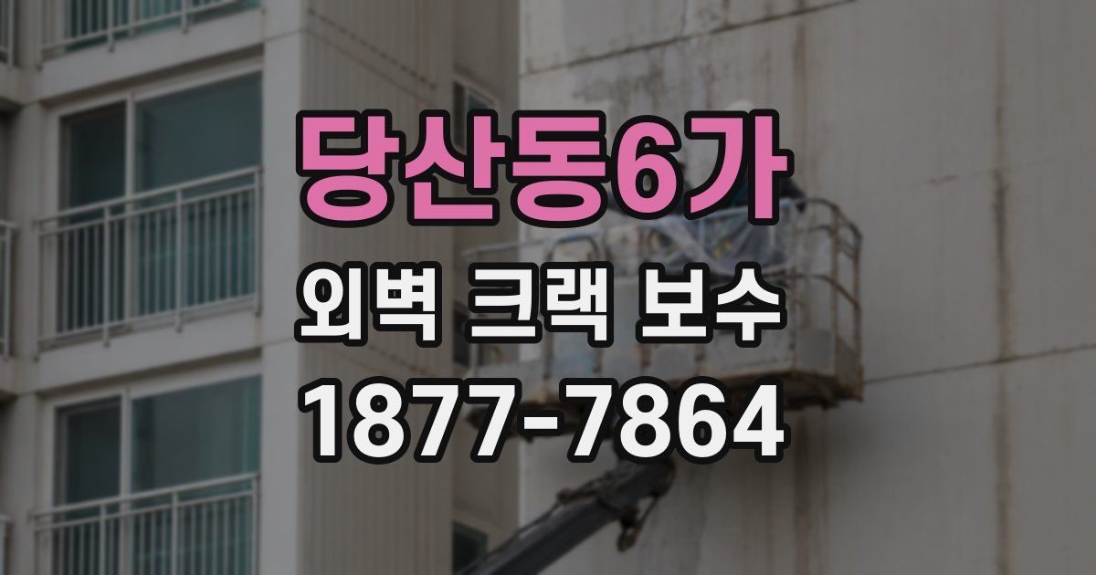 당산동6가 외벽 크랙 보수