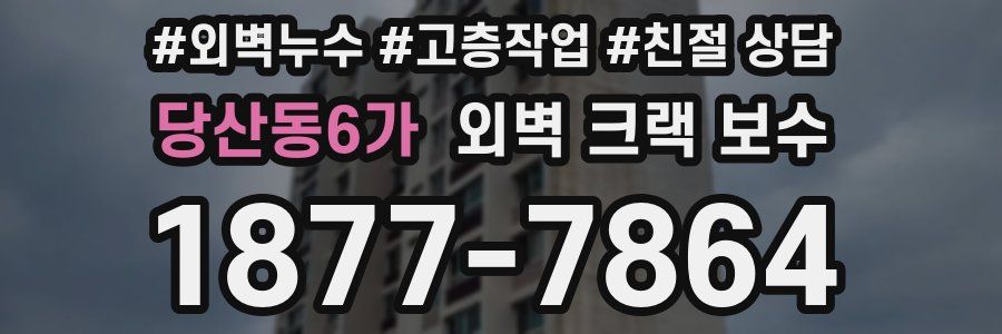 당산동6가 외벽 크랙 보수
