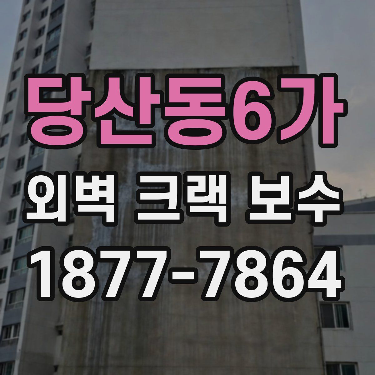 당산동6가 외벽 크랙 보수