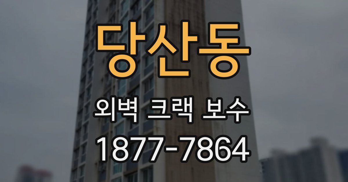 당산동 외벽 크랙 보수