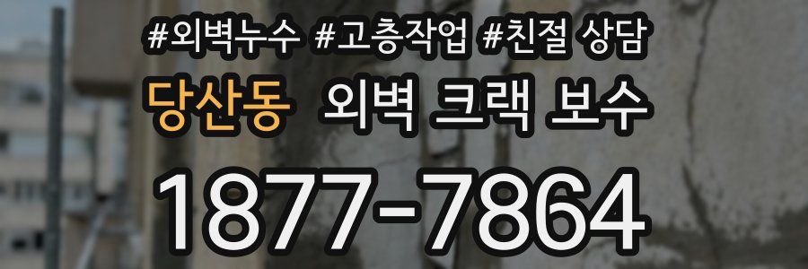 당산동 외벽 크랙 보수