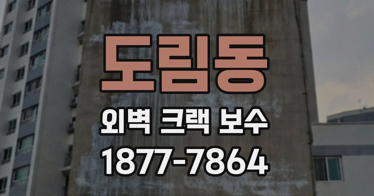 도림동 외벽 크랙 보수