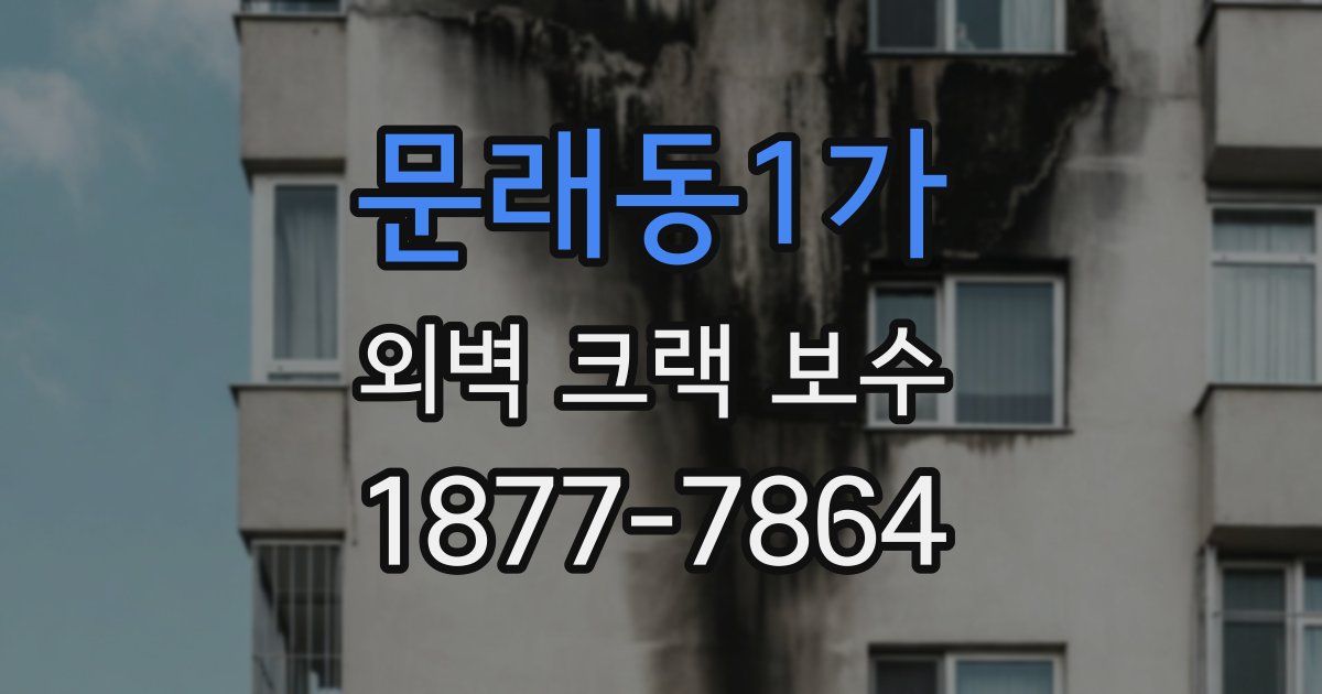 문래동1가 외벽 크랙 보수