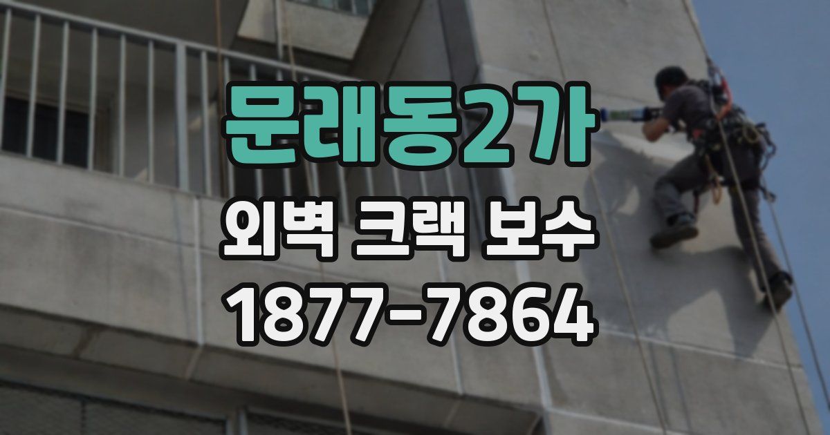 문래동2가 외벽 크랙 보수