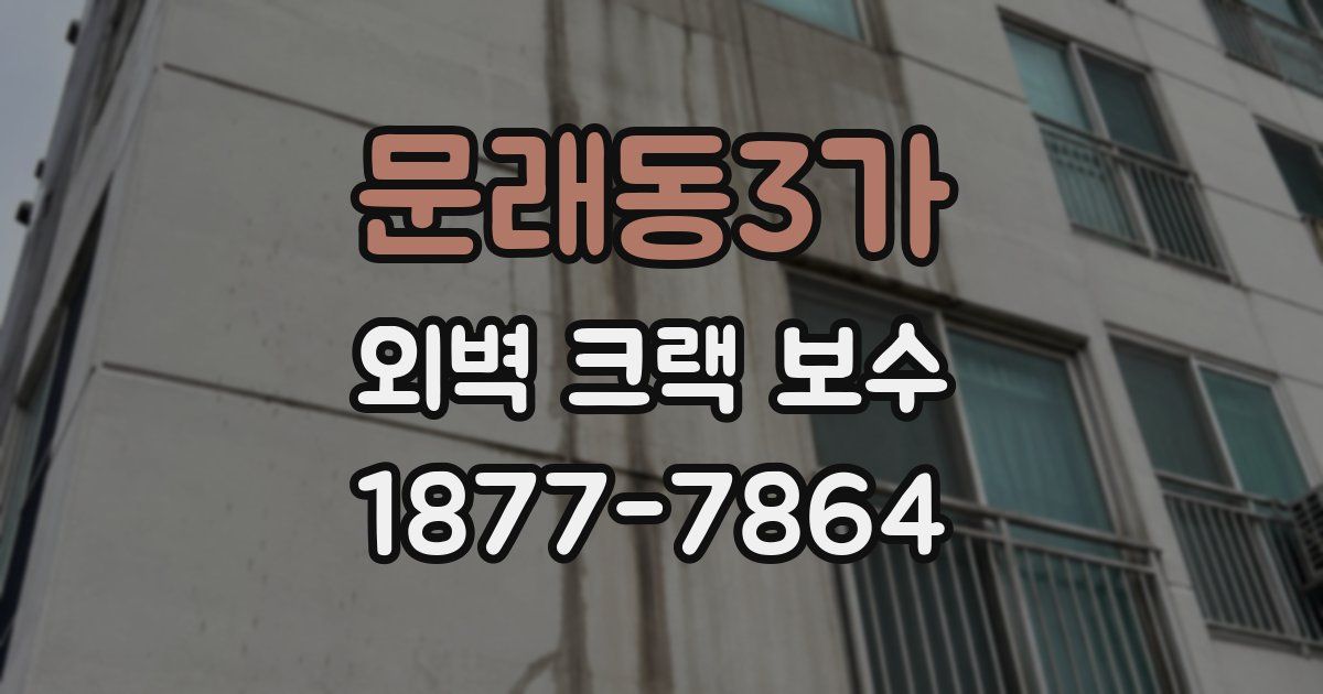 문래동3가 외벽 크랙 보수