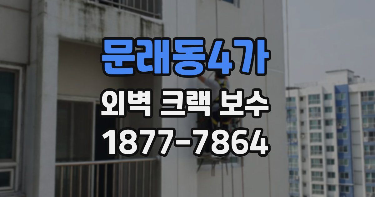 문래동4가 외벽 크랙 보수