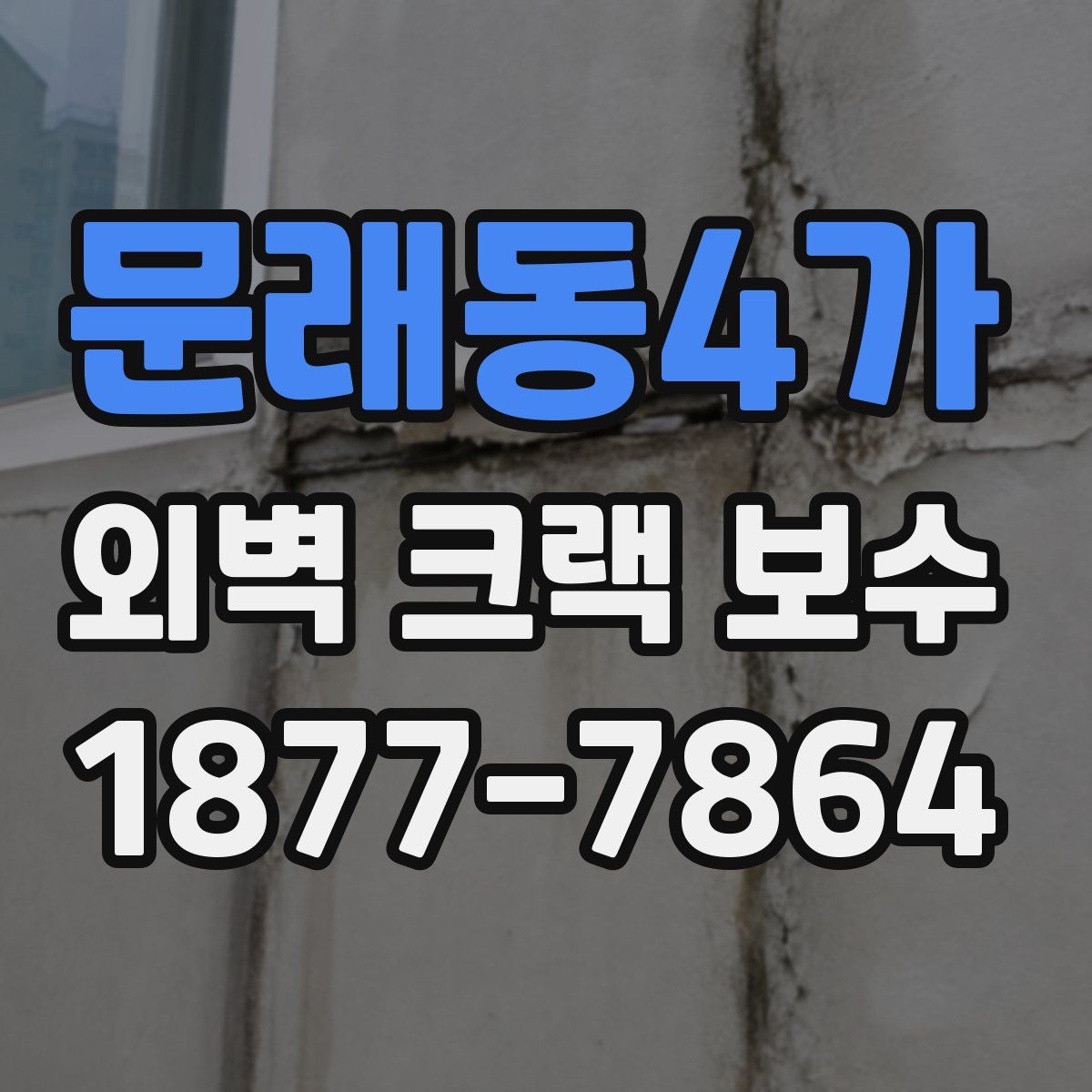 문래동4가 외벽 크랙 보수