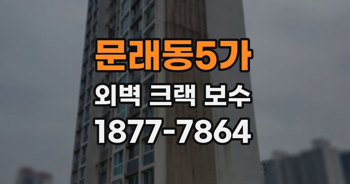 문래동5가 외벽 크랙 보수