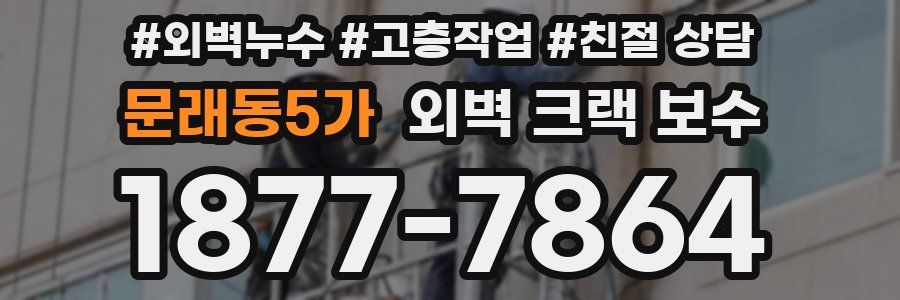 문래동5가 외벽 크랙 보수
