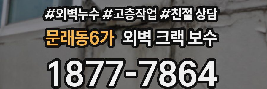 문래동6가 외벽 크랙 보수