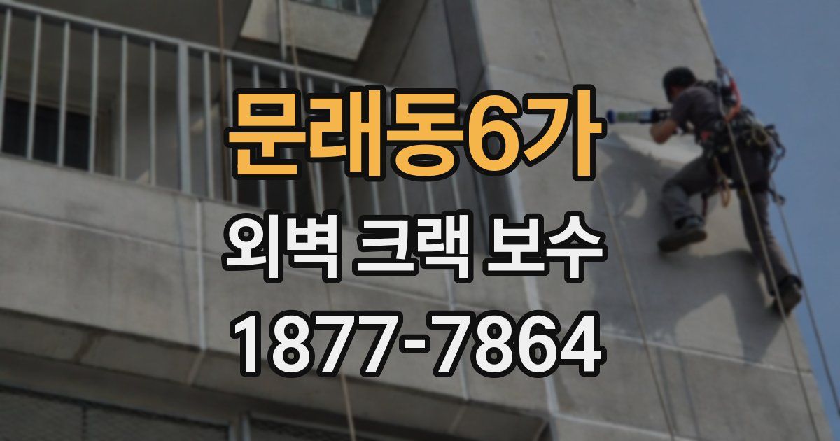 문래동6가 외벽 크랙 보수