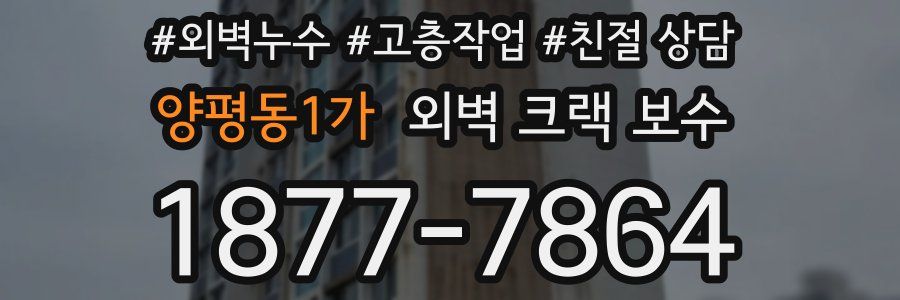 양평동1가 외벽 크랙 보수