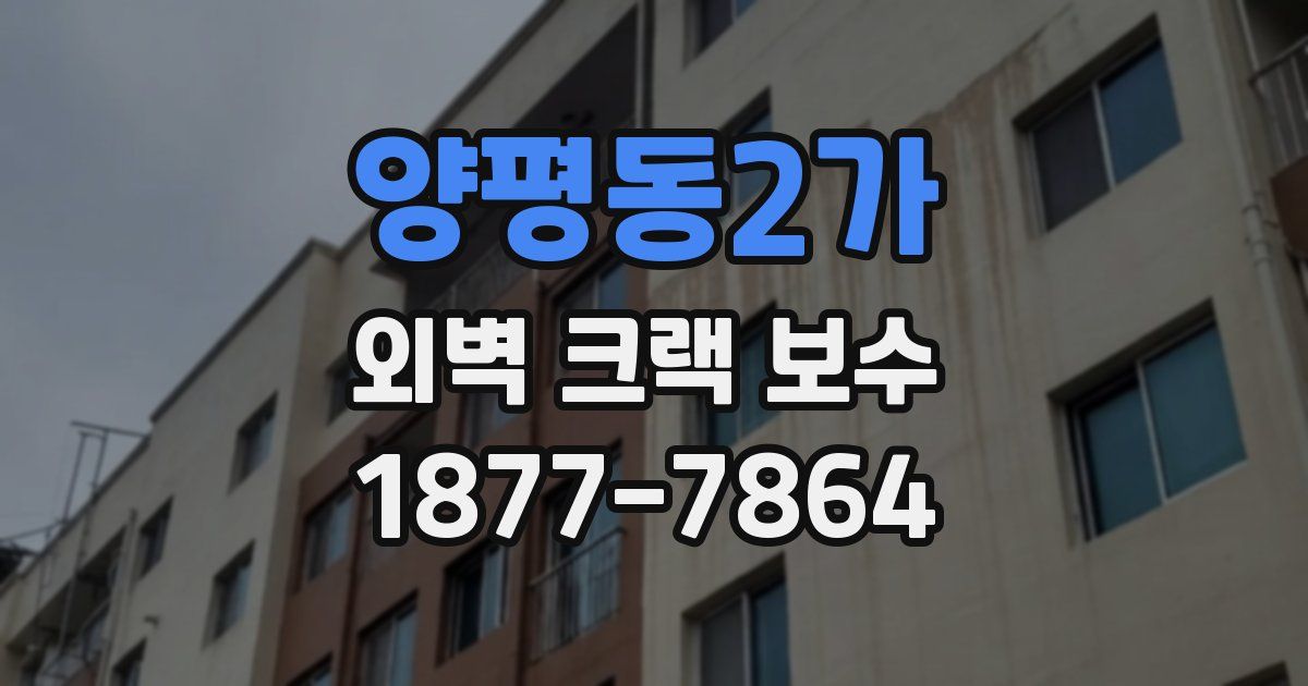 양평동2가 외벽 크랙 보수