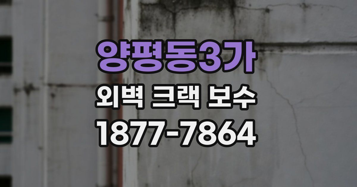 양평동3가 외벽 크랙 보수