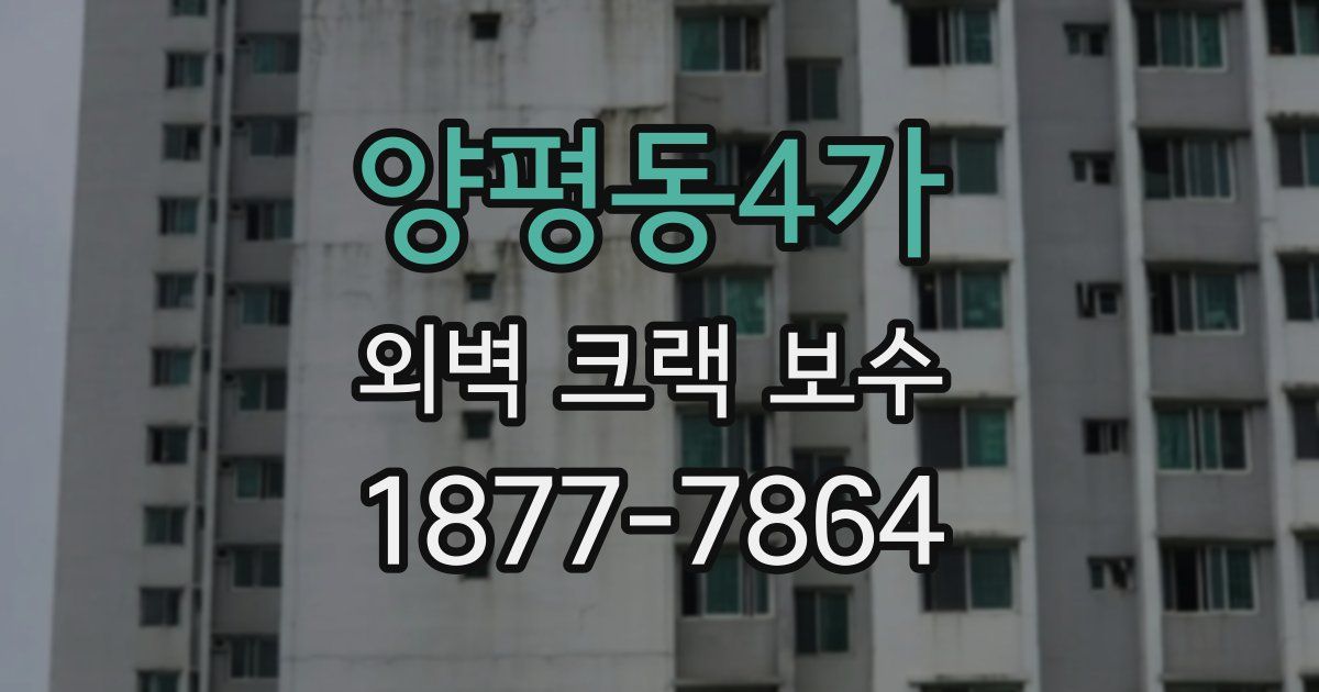 양평동4가 외벽 크랙 보수