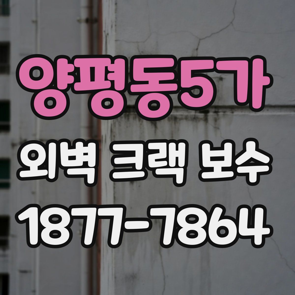 양평동5가 외벽 크랙 보수