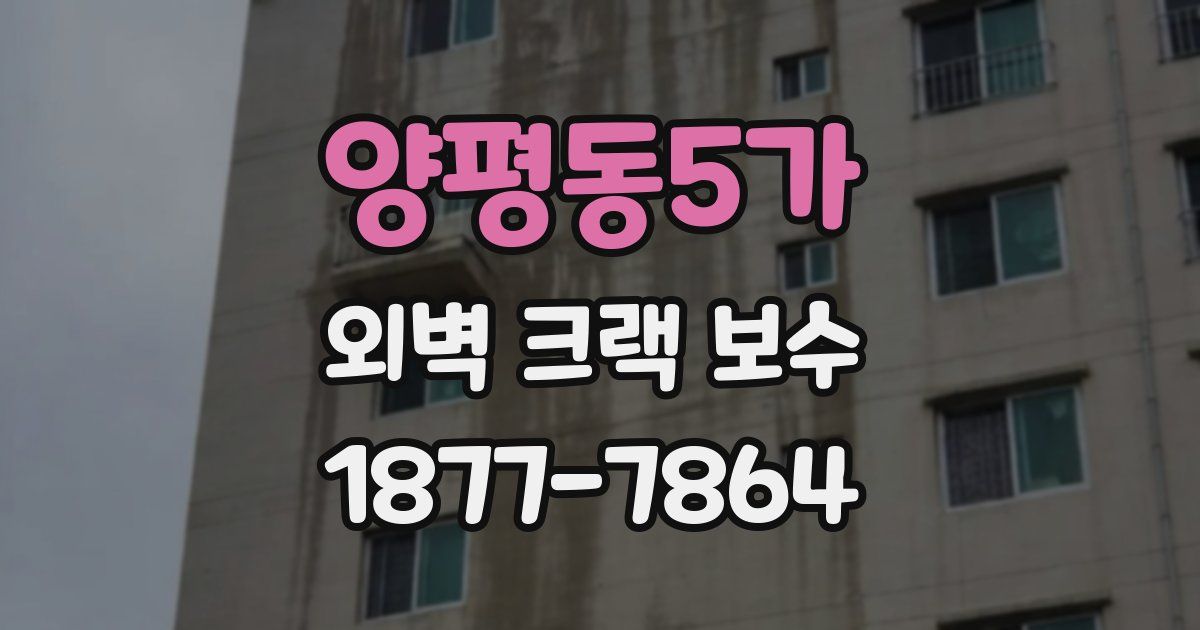양평동5가 외벽 크랙 보수