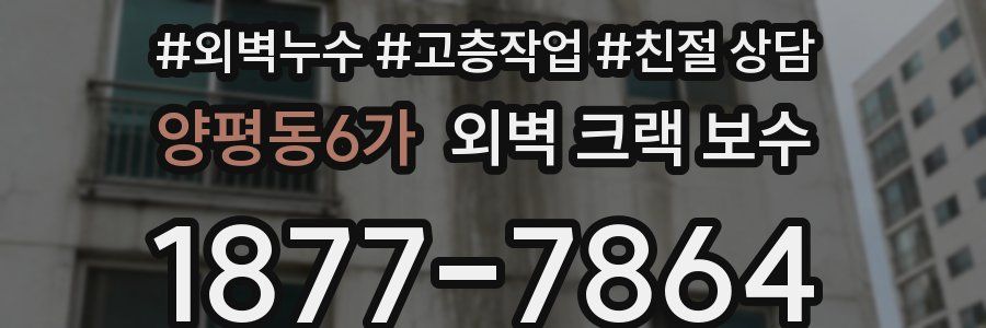 양평동6가 외벽 크랙 보수