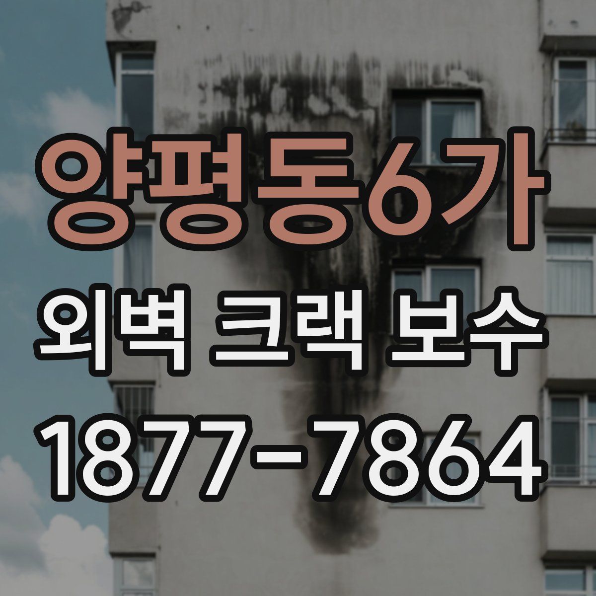 양평동6가 외벽 크랙 보수
