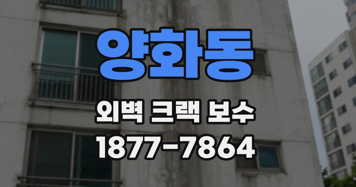 양화동 외벽 크랙 보수