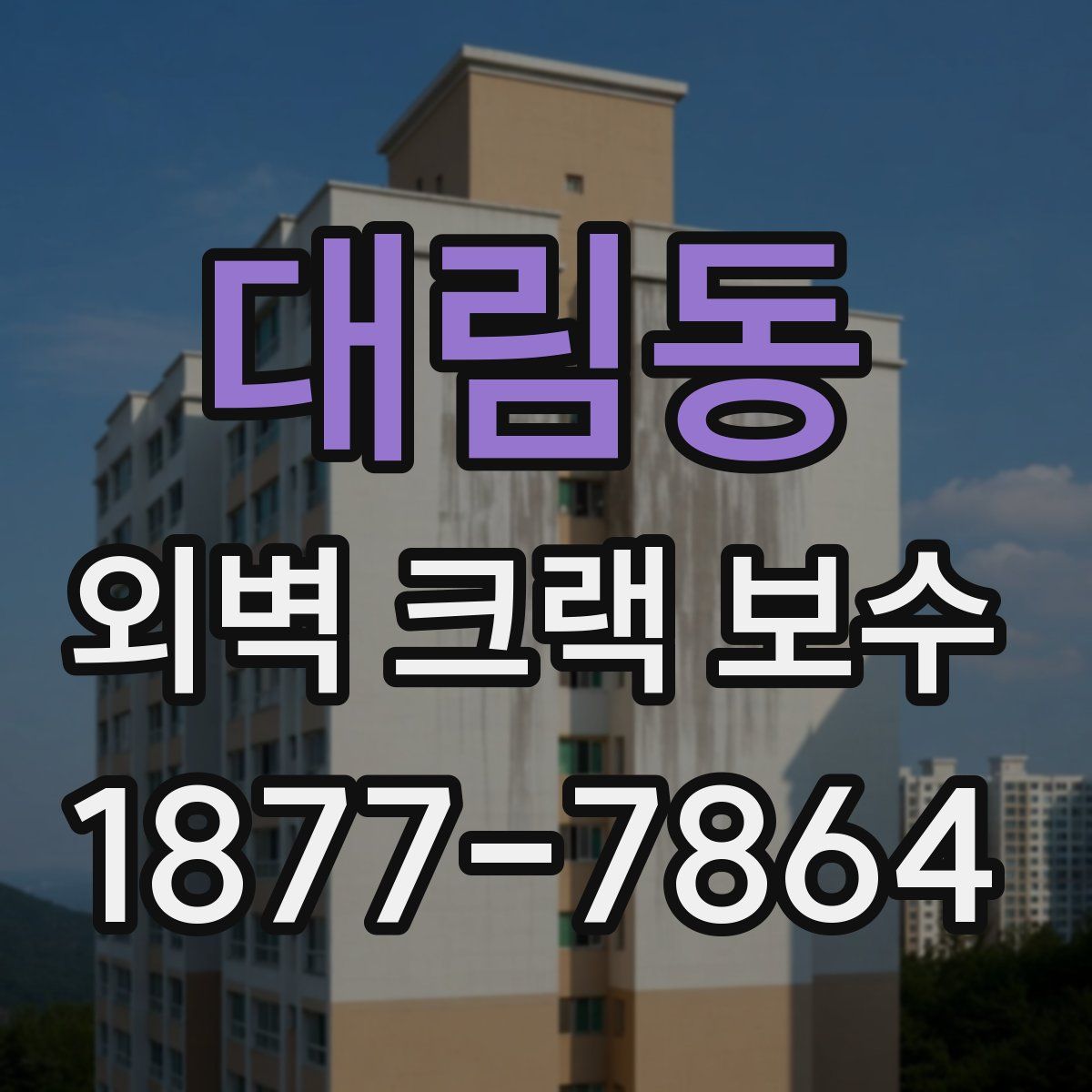 대림동 외벽 크랙 보수