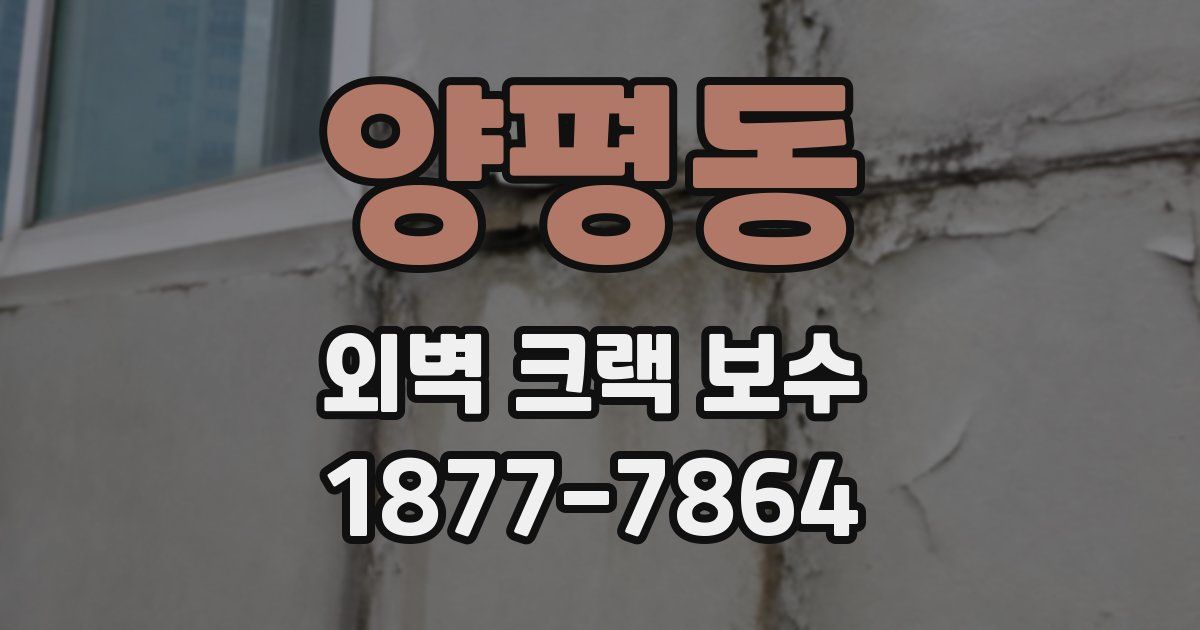 양평동 외벽 크랙 보수