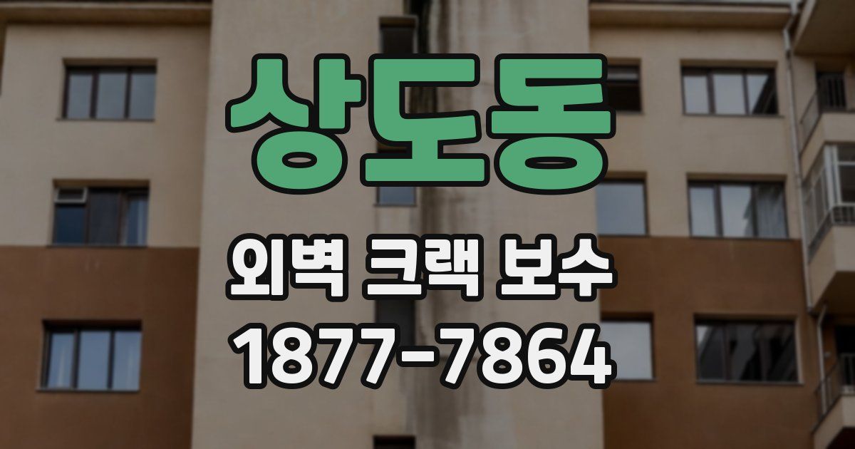 상도동 외벽 크랙 보수