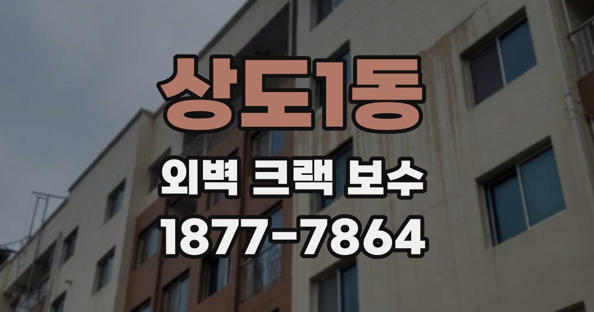 상도1동 외벽 크랙 보수