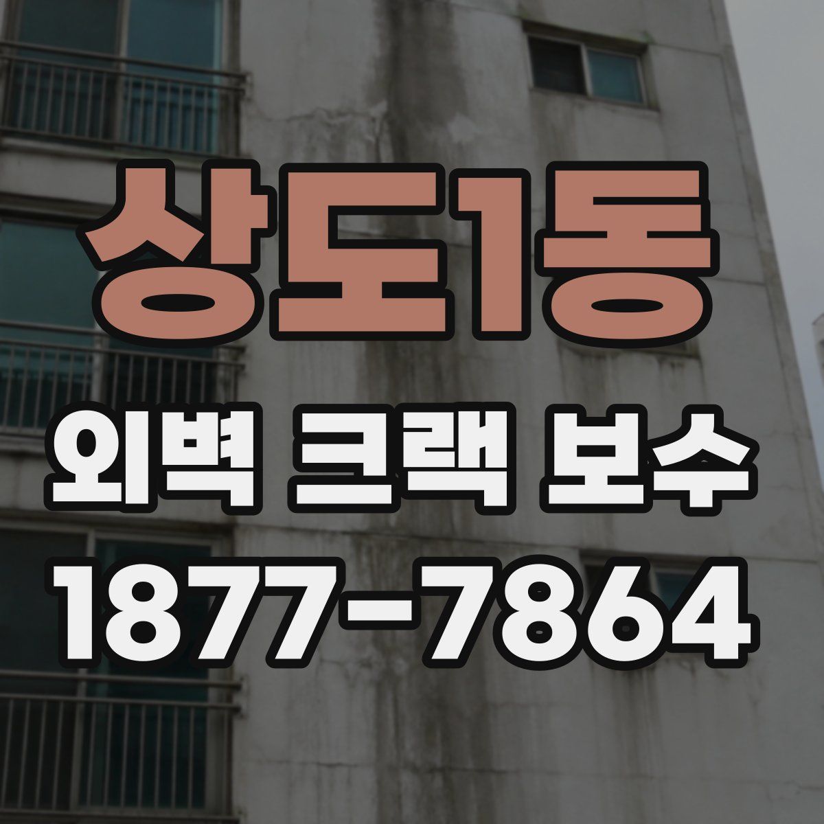 상도1동 외벽 크랙 보수