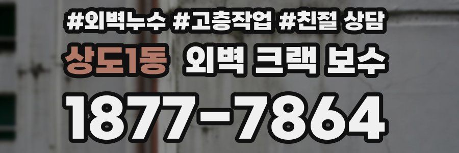 상도1동 외벽 크랙 보수